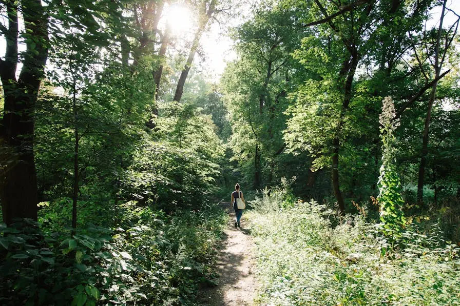 Frau geht im Wald spazieren