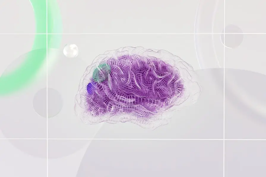 Neuronen in einem Gehirn